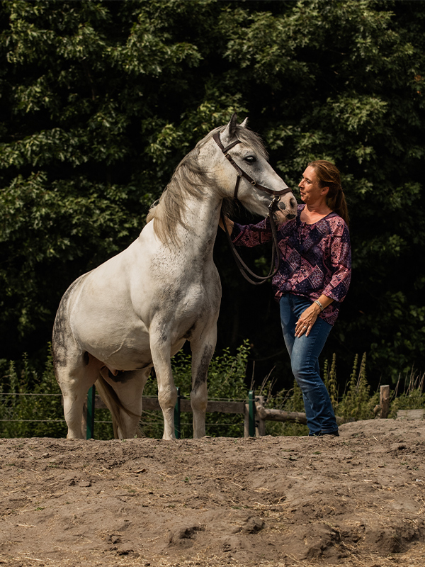 Kristina Schöning mit Joker bei Feldenkraistherapie zwischen Mensch und Pferd. Kristina Schöning mit Joker bei Feldenkraistherapie zwischen Mensch und Pferd.